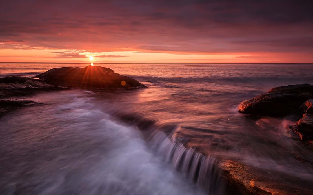 Understanding the AI Landscape